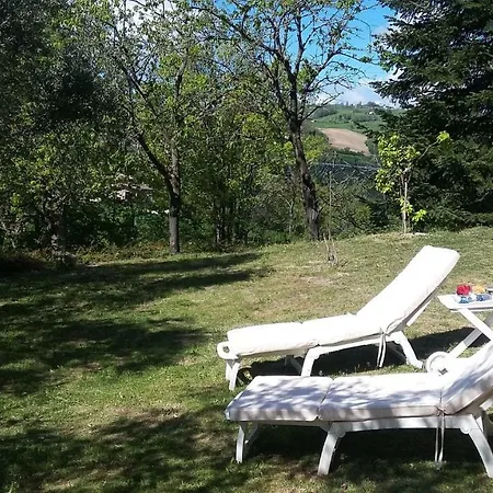 Ai Quattro Gatti