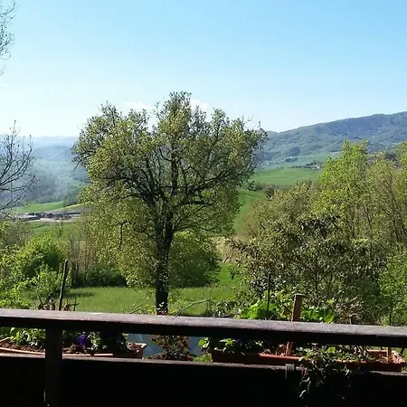 Ai Quattro Gatti *